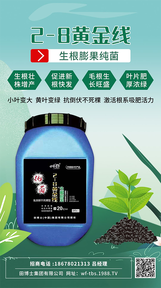 ���Ƿʵ������f�����L����ϵ�����ﱬ�l(f��)����ԇԇ�@һ��! 