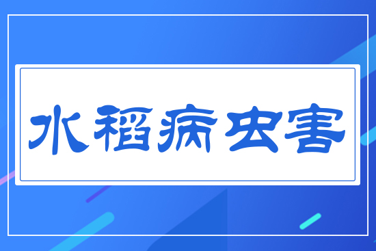 ˮ�����x��