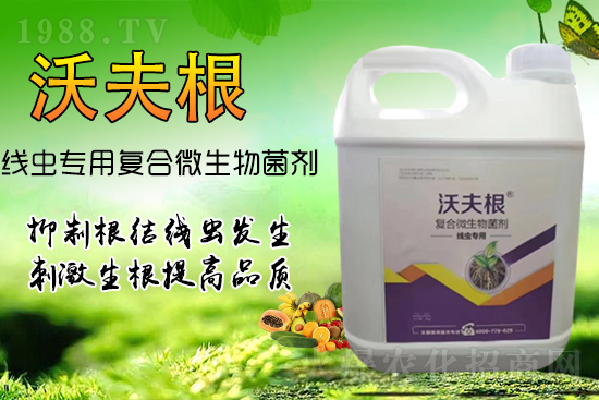 ���Y(ji��)���x��Ⱦ������������������������Ч����!