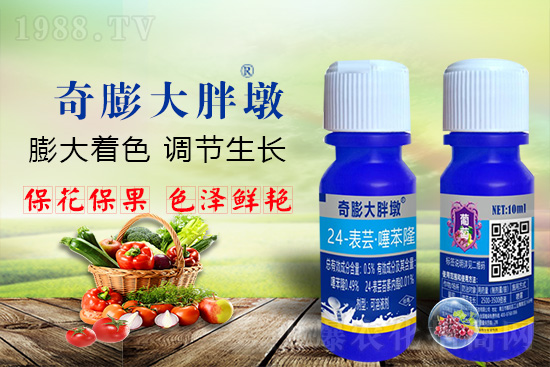     ������Ҫ�߮a(ch��n)��������P(gu��n)�I��������(sh��)�������D(zhu��n)ɫ�á��u��������ڵĮa(ch��n)����Ʒ�|(zh��)�����������S��Ĺ��r(n��ng)���r(n��ng)������ӳ�Լҵ���������ס���������������������������������ܛ���չ�����r�l���l(f��)����