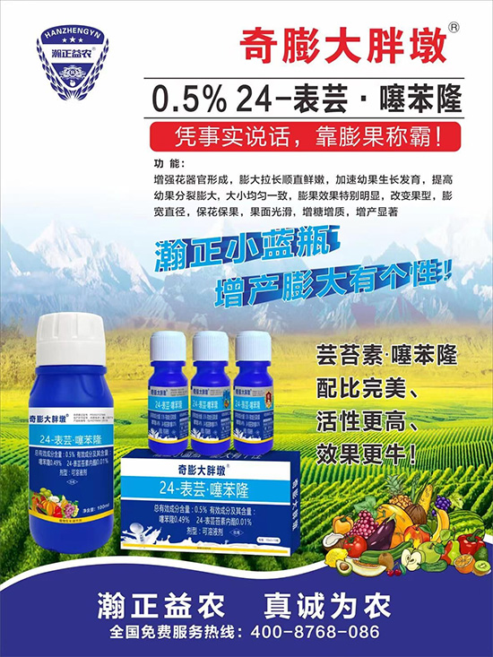     ������Ҫ�߮a(ch��n)��������P(gu��n)�I��������(sh��)�������D(zhu��n)ɫ�����u��������ڵĮa(ch��n)����Ʒ�|(zh��)�����������S��Ĺ��r(n��ng)���r(n��ng)������ӳ�Լҵ���������ס���������������������������������ܛ���չ�����r�l���l(f��)����