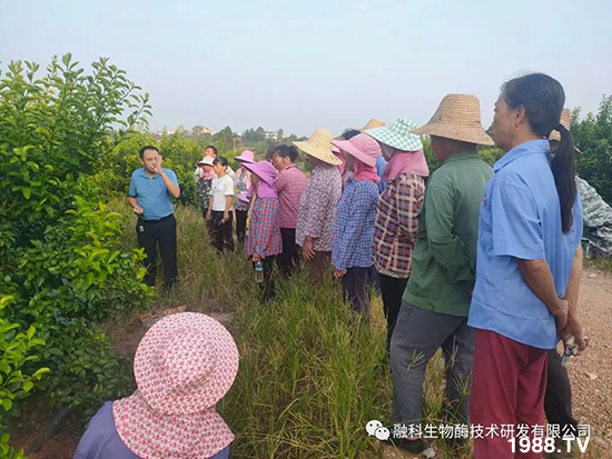 ���M���g���^���������ٮa(ch��n)�I(y��)