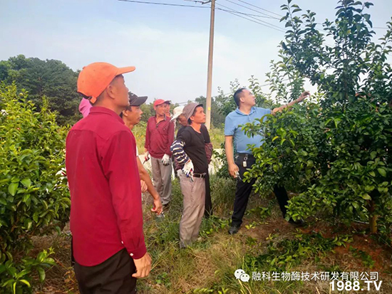 ���M���g���^���������ٮa(ch��n)�I(y��)