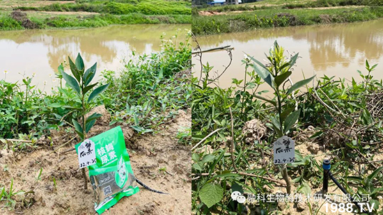 ���M���g���^���������ٮa(ch��n)�I(y��)