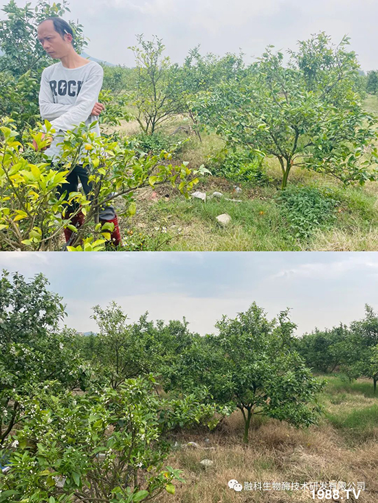 ���M���g���^���������ٮa(ch��n)�I(y��)