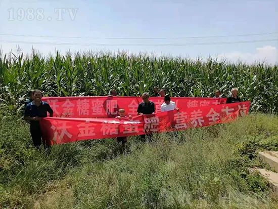     �@�����۷��r(n��ng)�YȦ������ԭ����Ȼ���ͳɱ��߷�Ч�_(k��i)��(chu��ng)����