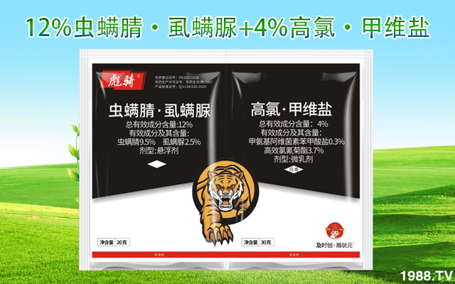 ���ϼ��r(sh��)������Ƽ����޹�˾