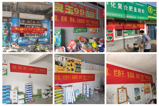 ��ֲ�ﰩ�Y-���������������������в�ˎ������������