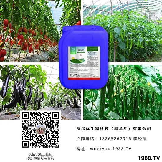 �֠���(y��u)����Ƽ��������������޹�˾15