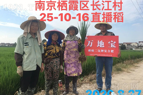 ˮ�����Y���Ì�(du��)�a(ch��n)���ж��Ӱ������M(j��n)ˮ�����Y��ô����