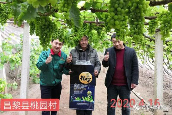 ����ܛ����ʲôԭ������η��Σ�