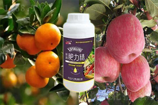 ����׷�ʏ�(f��)�Ϸʺ�߀�����غã��ܶ��˶��e�������������_�x��