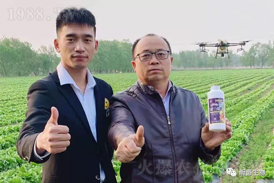 ����׷�ʏ�(f��)�Ϸʺ�߀�����غ����ܶ��˶��e�ˣ����������_�x��