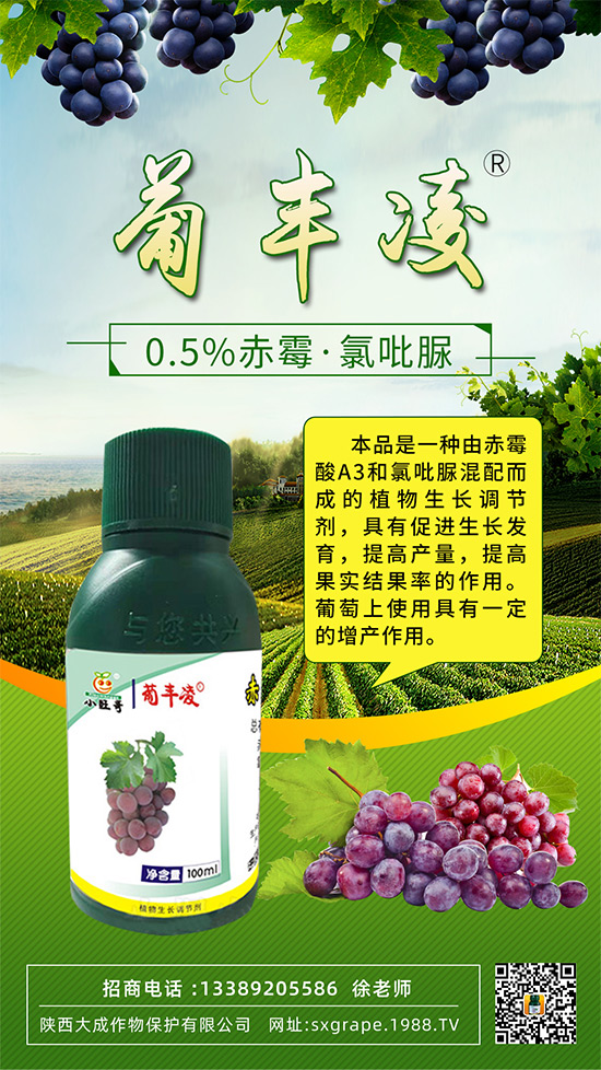 ���ѹ���ϡ������С����(y��n)����ô�k���@Щ�����ஔ(d��ng)��Ҫ