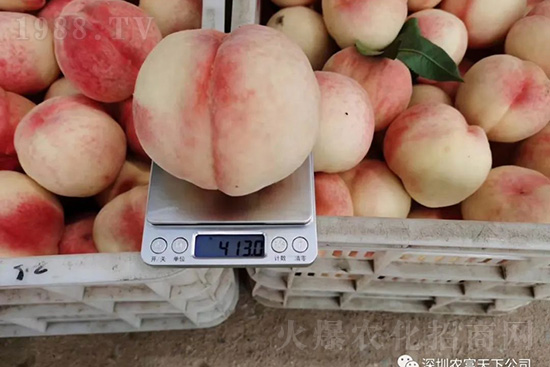 �Ҙ������ô�k���Ҙ����ԭ���A(y��)������