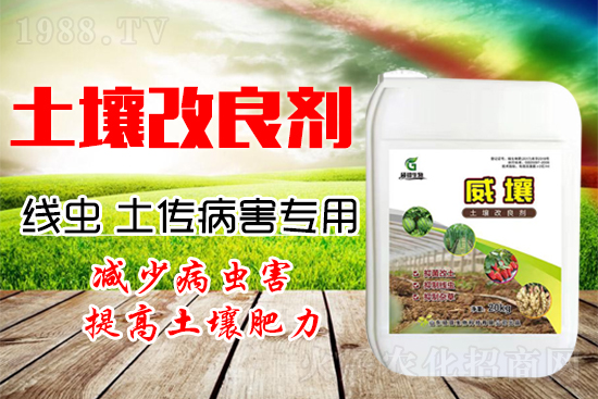 222������Y(ji��)���x(ch��ng)������������(y��n)��������һ�з�������