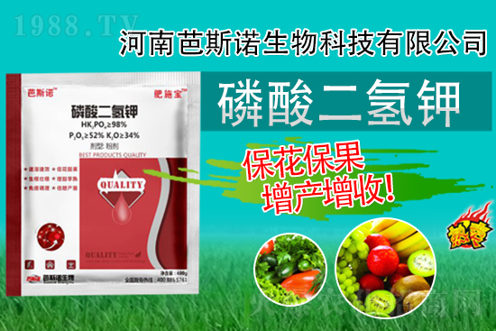 �������⛾����@�����r�g�c�����e�^���±�������