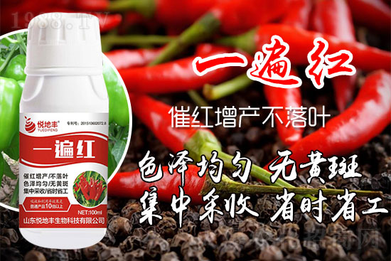 ������ʲôҪ���t���������t��ɫ�Ă�(g��)���Ӻ���