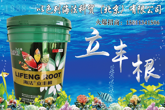 ���������Ч����ô�ӣ��Ȃ��y(t��ng)���Ϻ�����