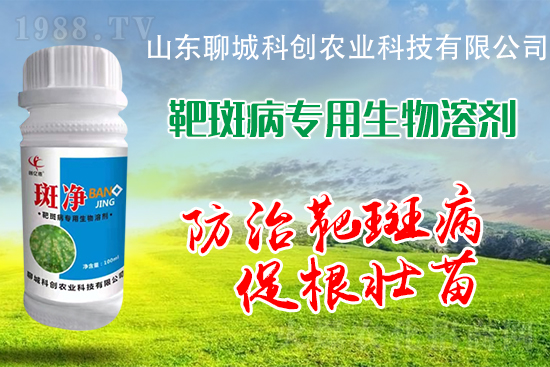 �S�ϰа߲�Σ��������������δ�ʩ����Щ��