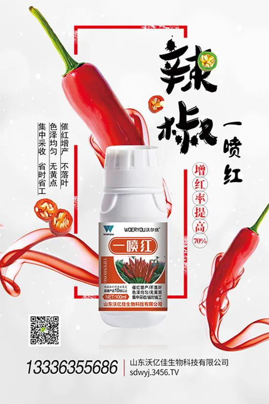 ���t�����95%���߼t�����~�����뷭�׷�����������һ���t��