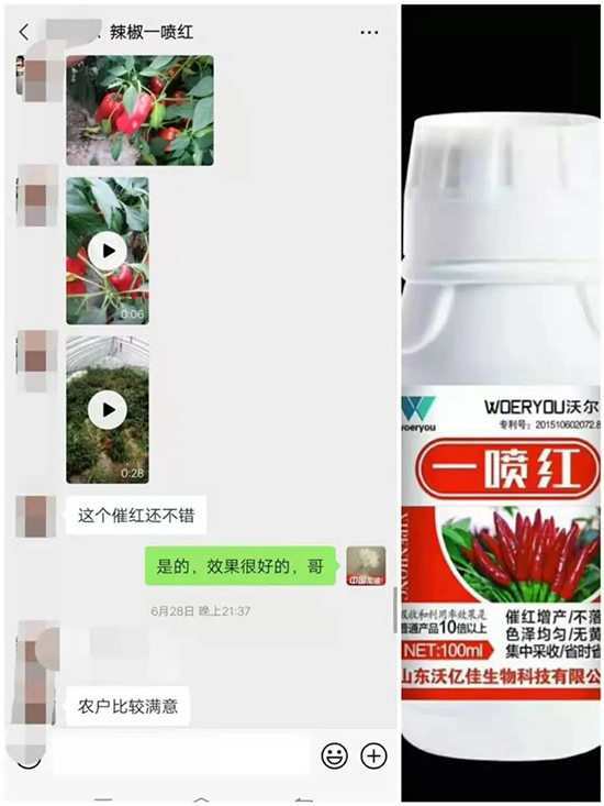 ���t�����95%���߼t�����~�����뷭�׷�����������һ���t��