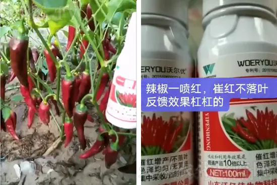 ���t�����95%���߼t�����~�����뷭�׷�����������һ���t��