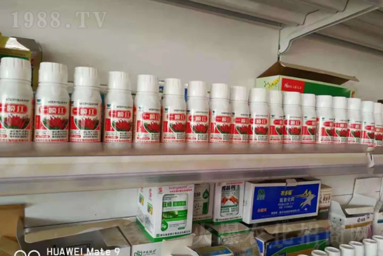 ���t�����95%���߼t�����~�����뷭�׷�����������һ���t��