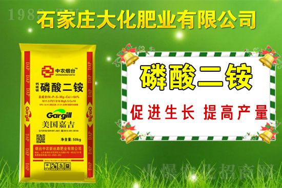 ��(zh��n)�Ժ�����������ʯ���f�󻯷ʘI(y��)�ٴκ��s1988.TV��