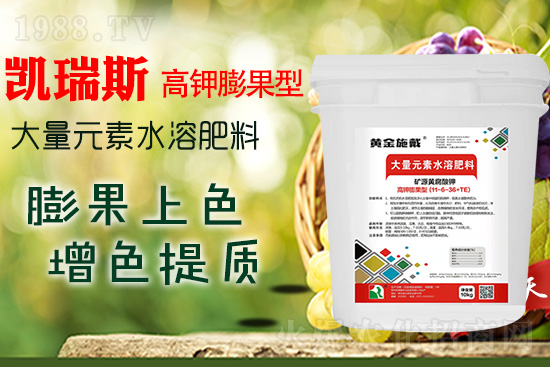     ���M(j��n)���������ɫ���@���䷽��(zh��n)�]�e���������|(zh��)���a(ch��n)��