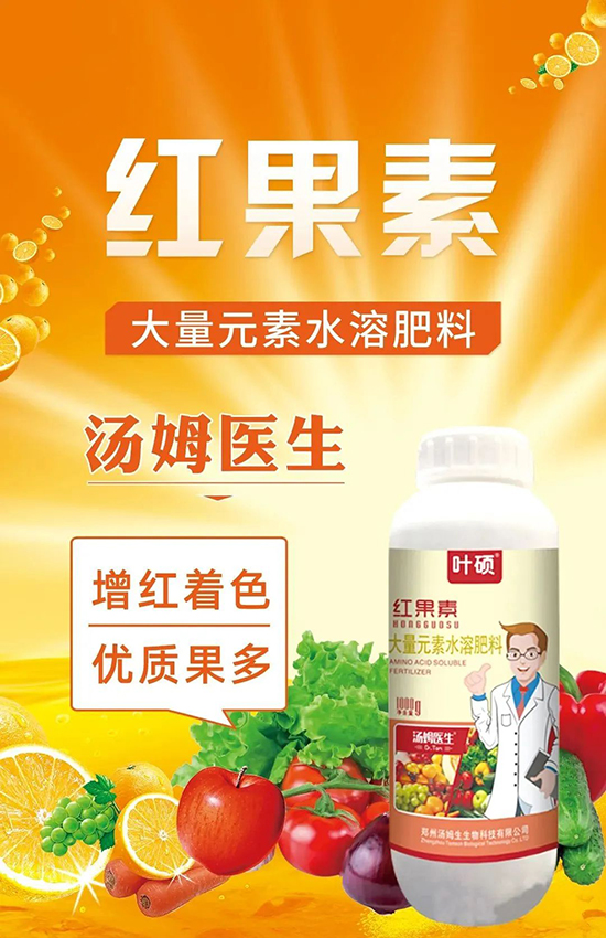 �t���ء�ֻ���D(zhu��n)ɫ�������D(zhu��n)ɫ���������߼t���ó���