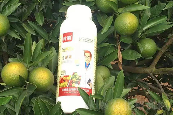 �t���ء�ֻ���D(zhu��n)ɫ�������D(zhu��n)ɫ���������߼t���ó���