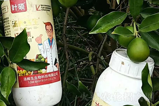 �t���ء�ֻ���D(zhu��n)ɫ�������D(zhu��n)ɫ���������߼t���ó���