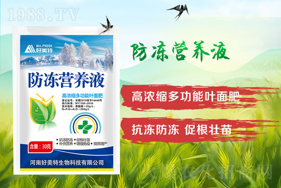 ���Ϻ���������Ƽ����޹�˾19