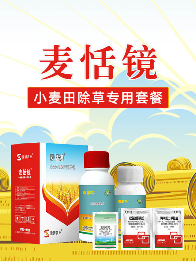 麥恬鏡-豐收樂_01