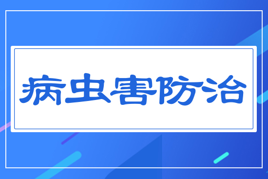 ���x������