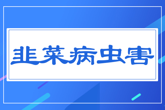 韭菜病蟲(chóng)害