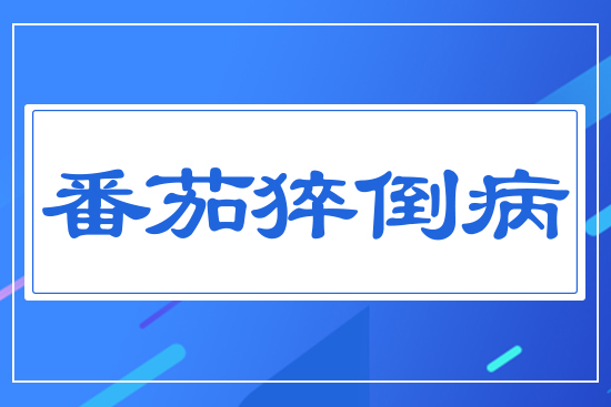 ����⧵���