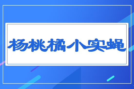 ������С��(sh��)ω