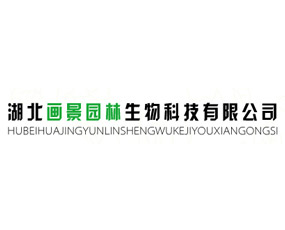 ���������@������Ƽ����޹�˾