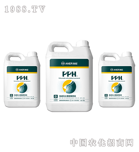 PPH-�~������������ܴa-�Խ