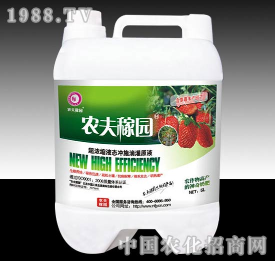 �_ʩ�ι�ܷʣ���ݮ��-�r(n��ng)��ڈ@