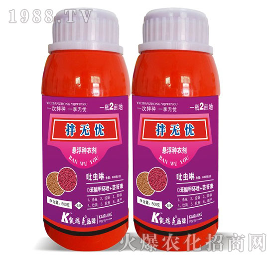 ��o�n-�P���