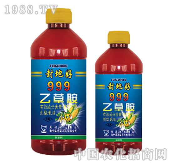 999�Ҳݰ�-��غ�-���{(l��n)