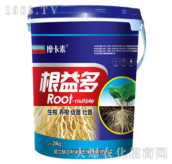 �����-Ħ����-��(qi��ng)о��(gu��)�H