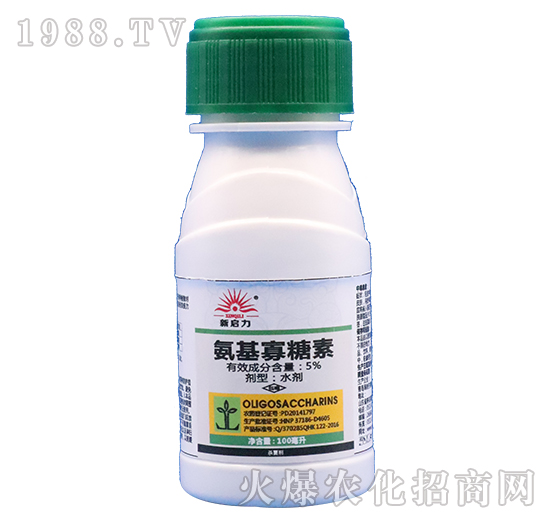 5%����������-����