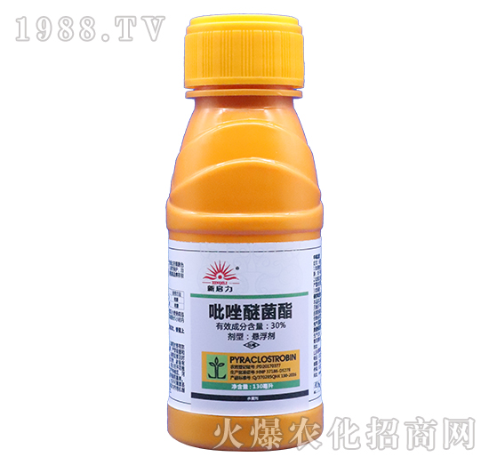 30%�����׾���-����