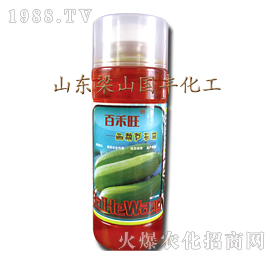 西葫蘆專用葉面肥-梁山國(guó)豐