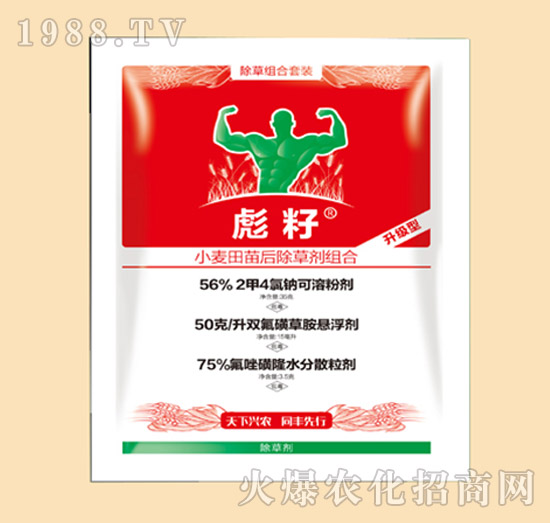 С���������݄��M��-����-ͬ�S