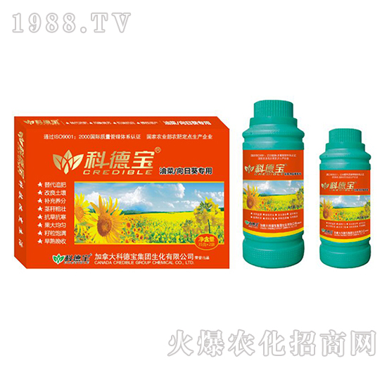 �Ͳˡ����տ����àI�B(y��ng)���a�{�턩-�Ƶ�